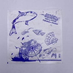 POCHETTE FERMETURE ADHESIVE 250X250MM POISSONNERIE ~1000