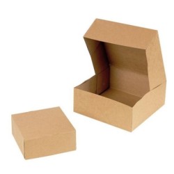 BOITE PATISSIERE KRAFT BRUN 23X05CM ~50
