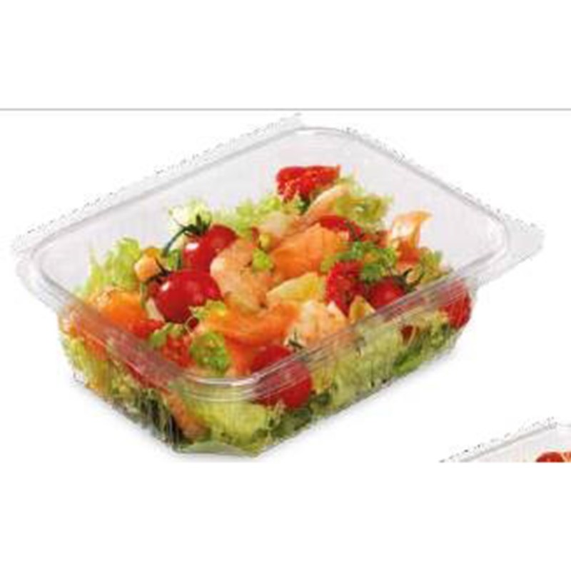BARQUETTE COUVERCLE CHARNIERE OPTIPACK PET 750G 185X135X45MM ~50