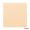 SERVIETTE OUATE DOUBLE POINT 20X20 IVOIRE ~100