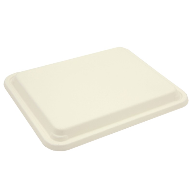 COUVERCLE PLATEAU REPAS 5 CASES CANNE A SUCRE ~50 pour 10559