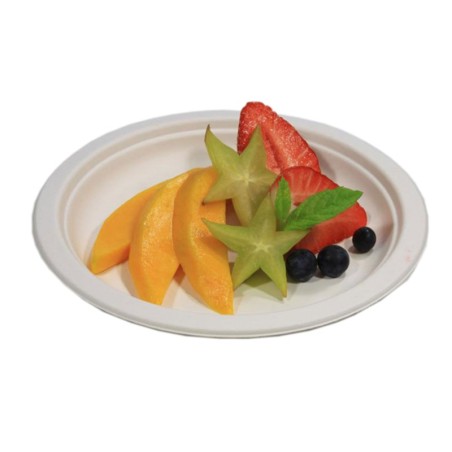 ASSIETTE CANNE A SUCRE RONDE Ø18CM BLANC ~50