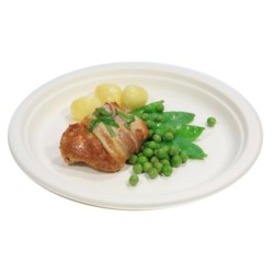 ASSIETTE CANNE A SUCRE RONDE Ø23CM BLANC ~50