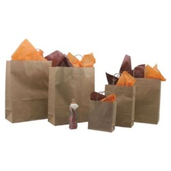 SAC CABAS KRAFT 90G POIGNEE FICELLE 18+8X22CM BRUN POUR 5KG ~50