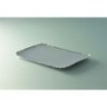 PLATEAU TRAITEUR 19X28CM ARGENT INTERIEUR ~25