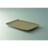 PLATEAU TRAITEUR 19X28CM OR INTERIEUR ~25