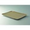 PLATEAU TRAITEUR 25X34CM OR INTERIEUR ~25