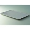 PLATEAU TRAITEUR 28X42CM ARGENT INTERIEUR ~25